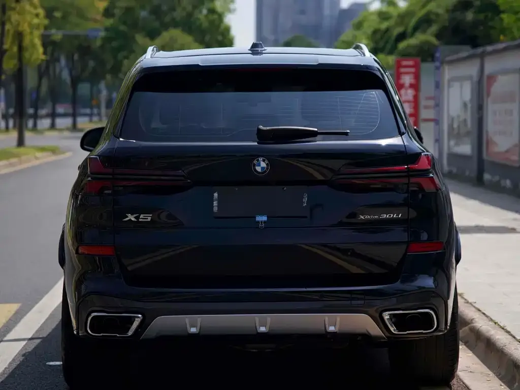 BMW X5 2024 из CN, фото 3