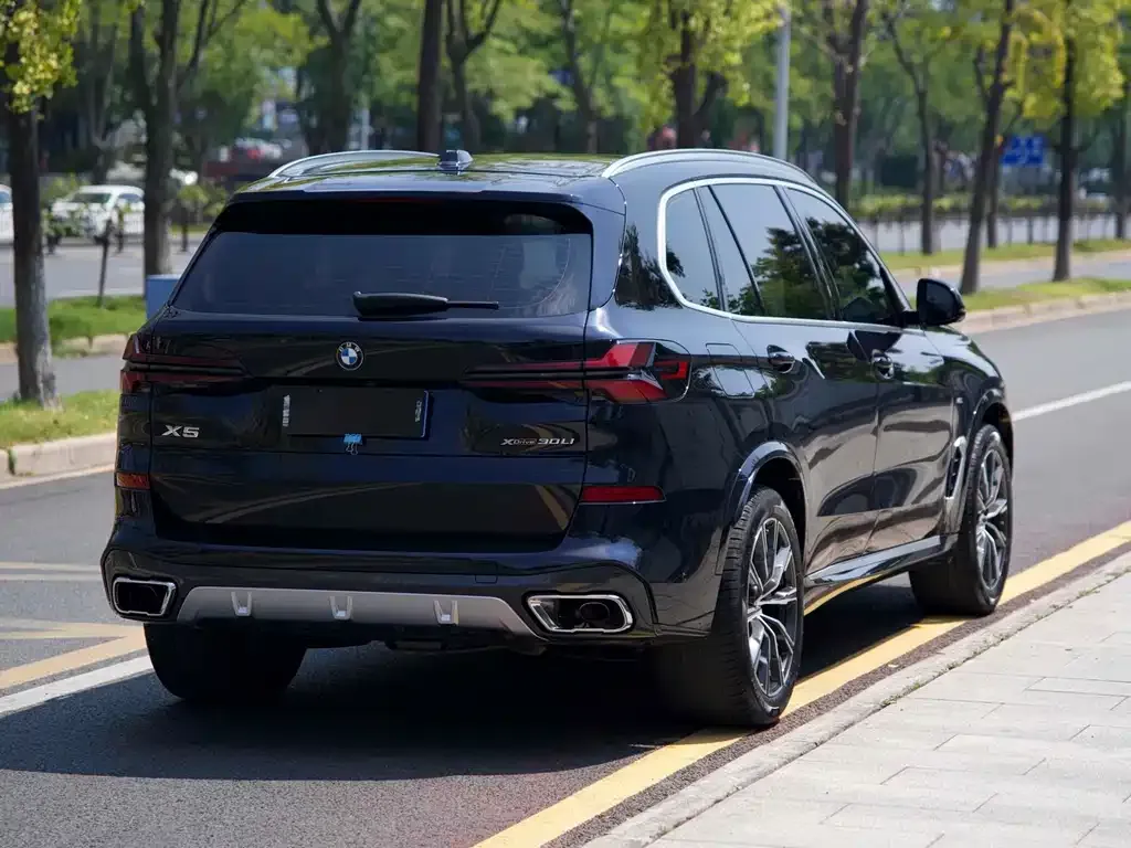 BMW X5 2024 из CN, фото 7