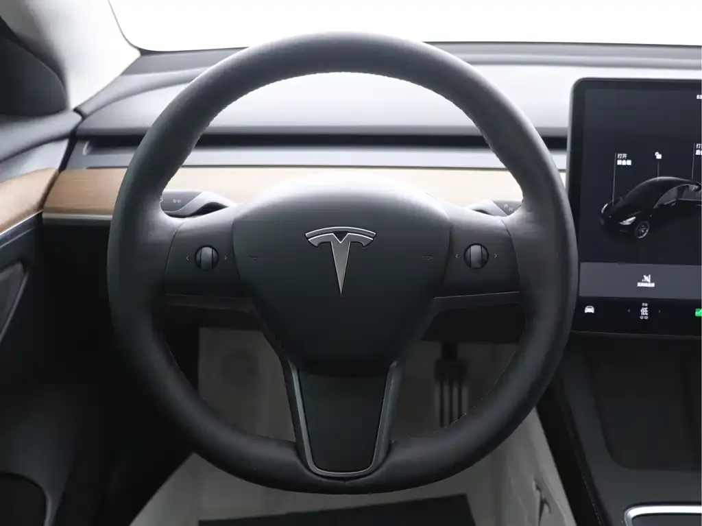 Tesla Model 3 2021 из CN, фото 5
