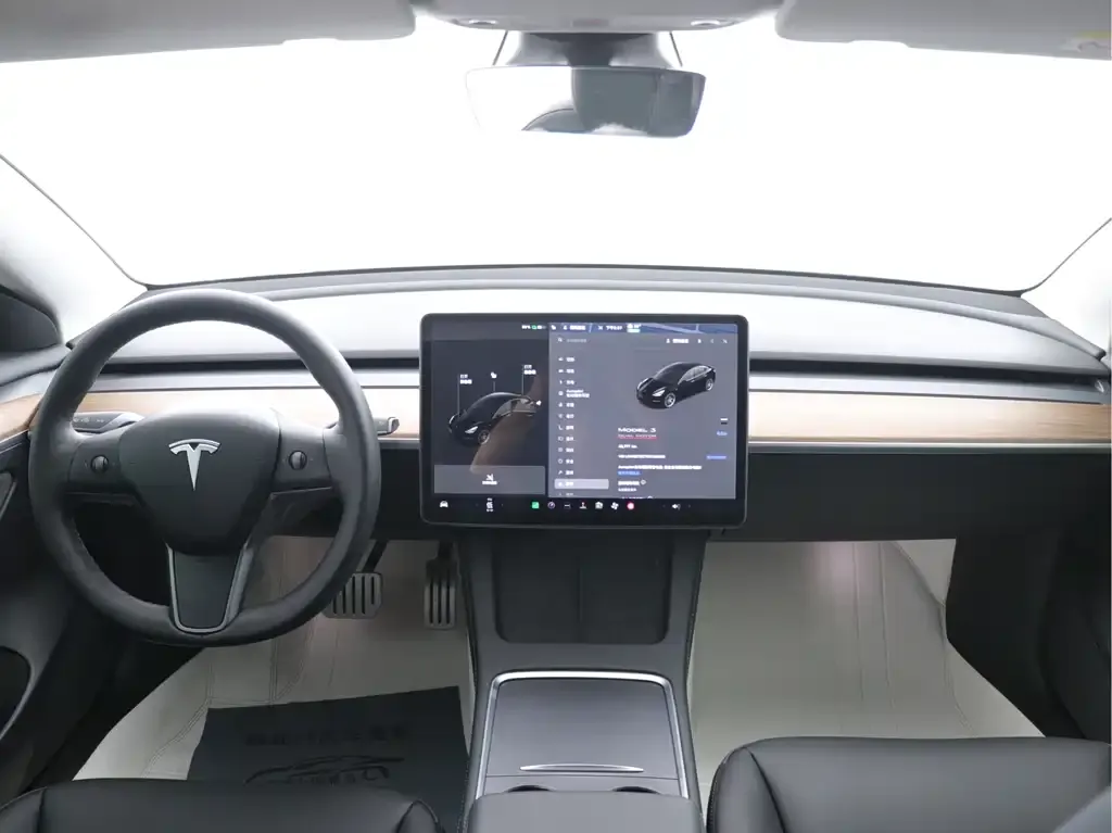 Tesla Model 3 2021 из CN, фото 4