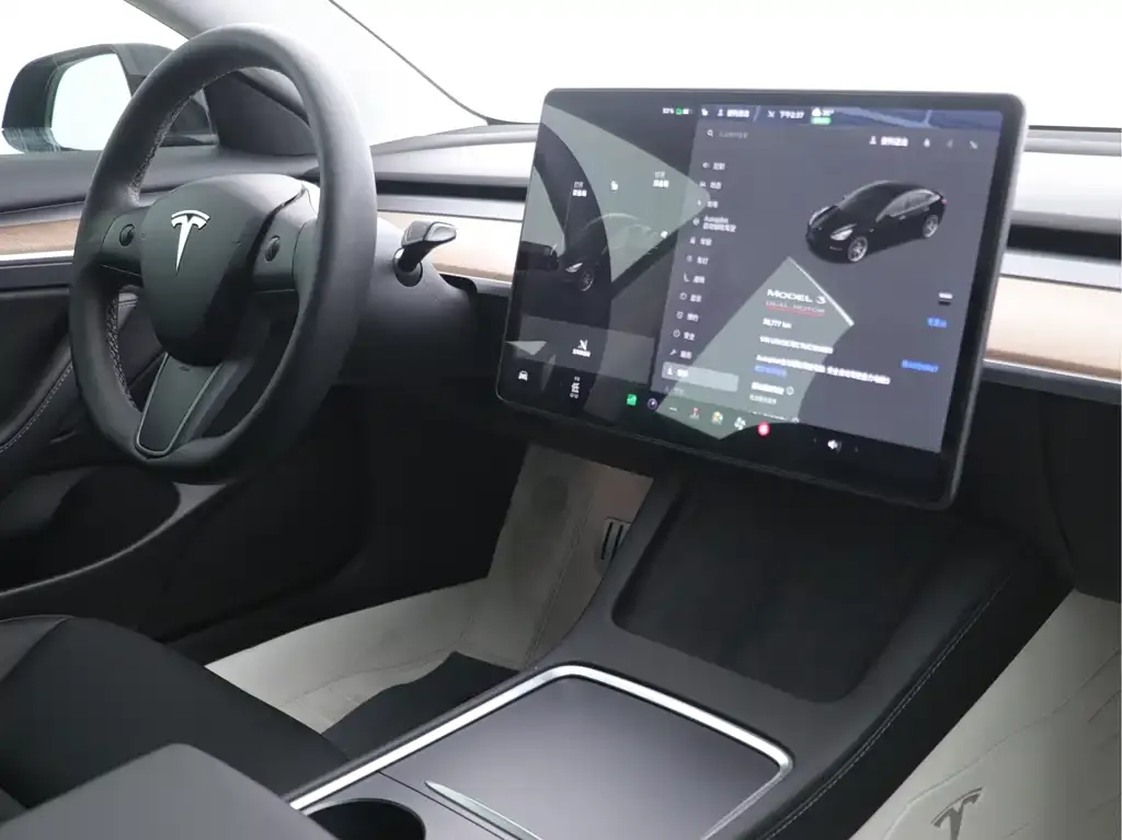 Tesla Model 3 2021 из CN, фото 9