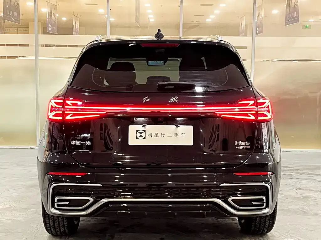 Hongqi HS5 2024 из CN, фото 6