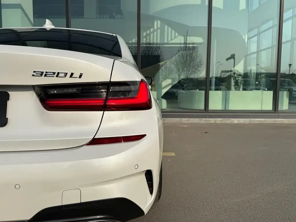 BMW 3 Series 2021 из CN, фото 3