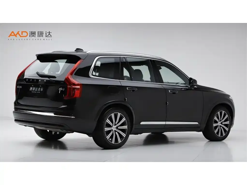 Volvo XC90 — фото 10