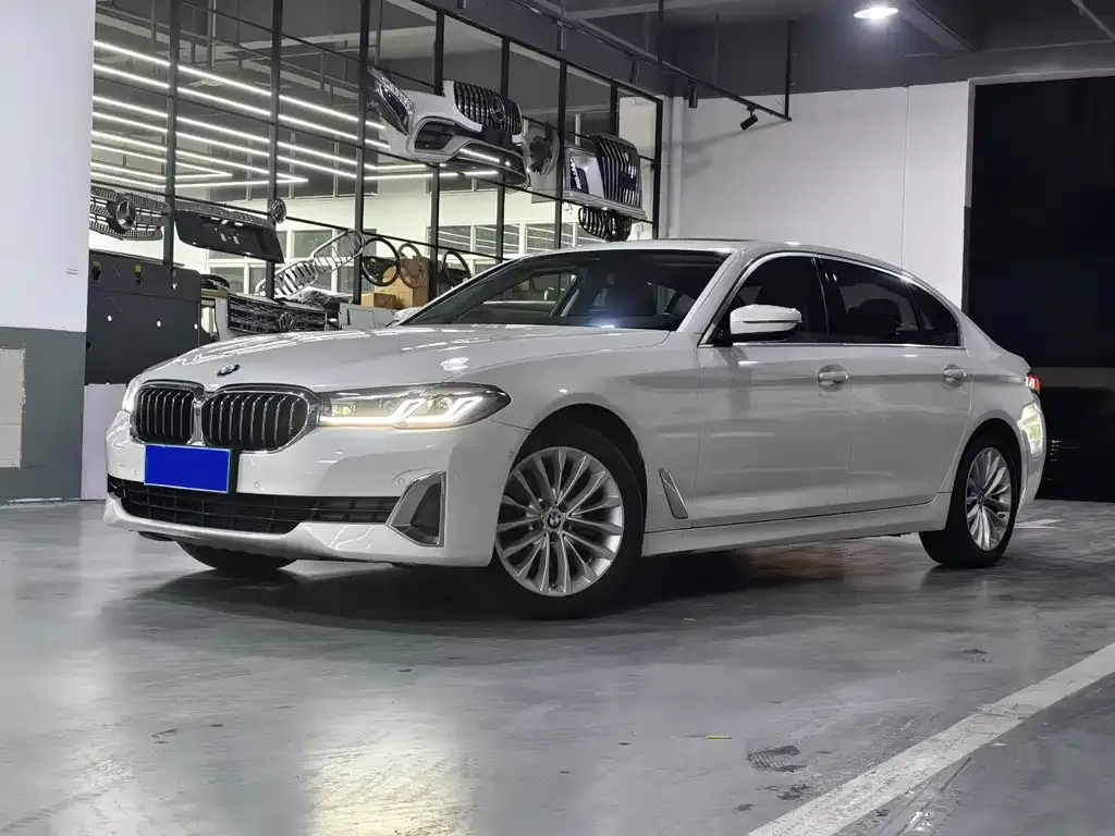 BMW 5 Series 2021 из CN, фото 1