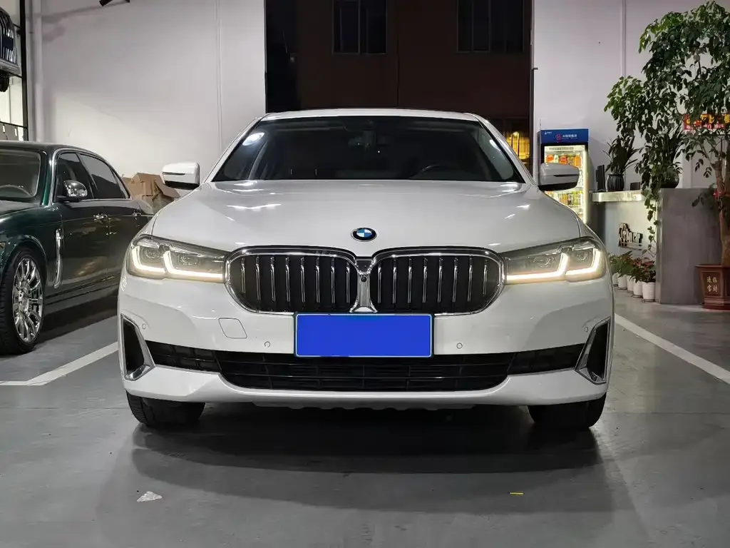BMW 5 Series 2021 из CN, фото 7
