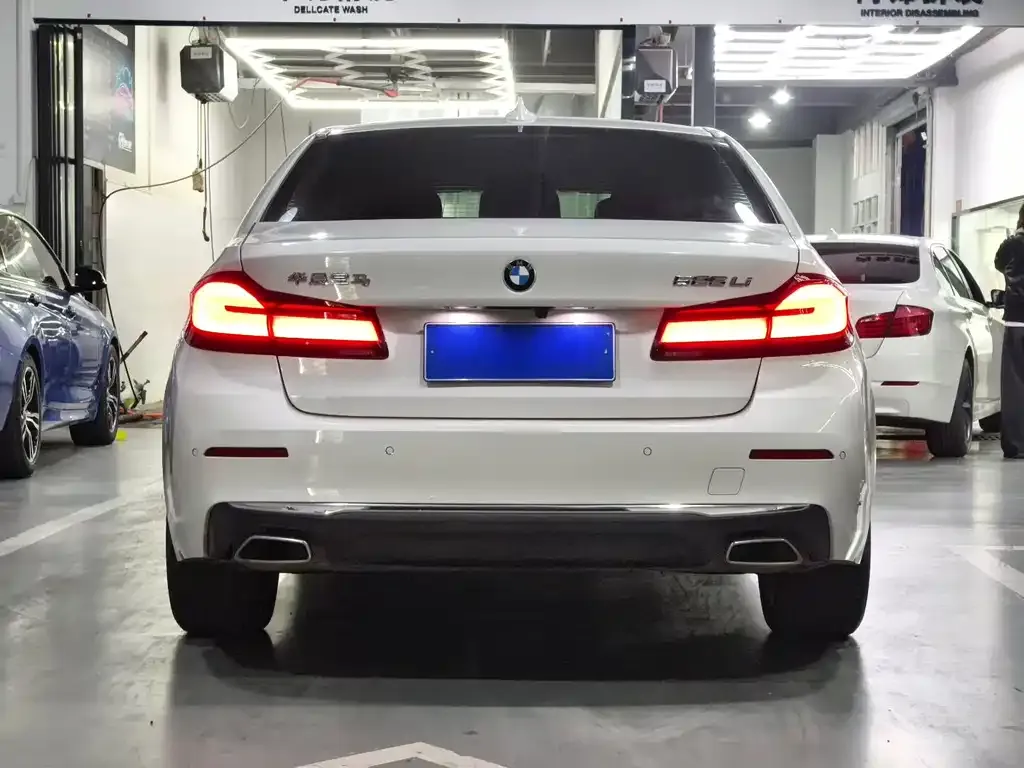 BMW 5 Series 2021 из CN, фото 4