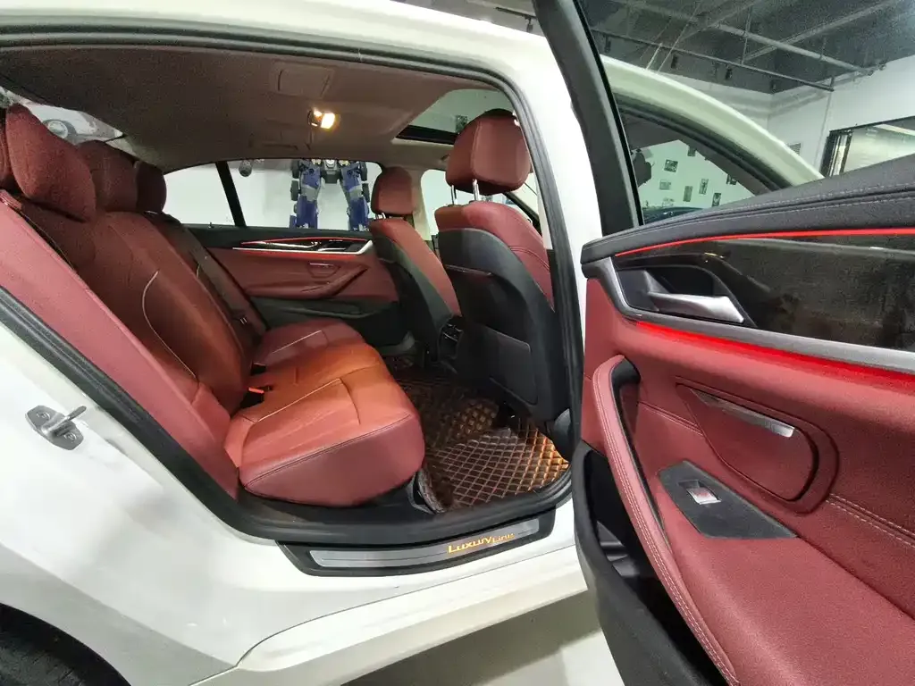 BMW 5 Series 2021 из CN, фото 8
