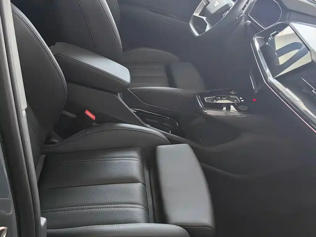 Audi Q4 e-tron 2024 из CN, фото 4