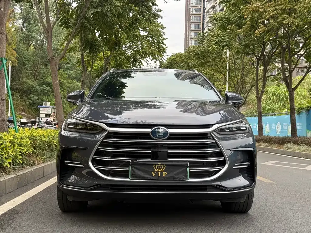BYD Tang New Energy 2022 из CN, фото 2