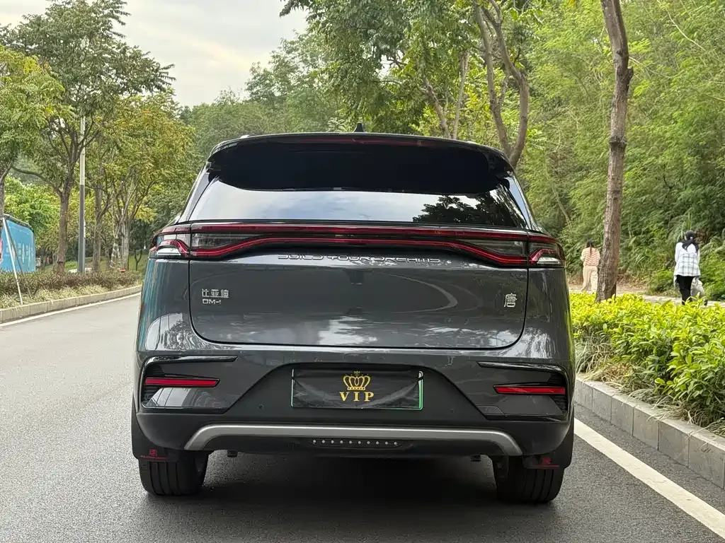 BYD Tang New Energy 2022 из CN, фото 4