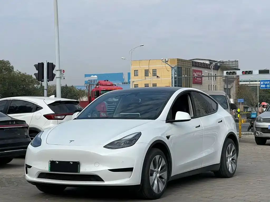 Tesla Model Y 2023 из CN, фото 1