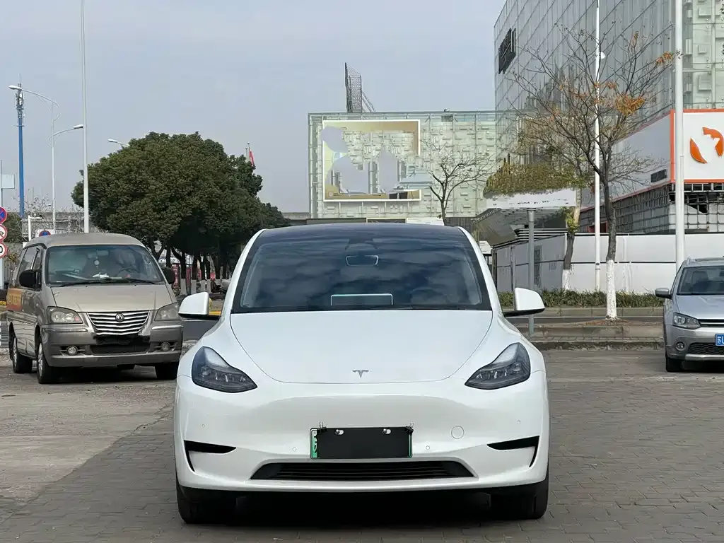 Tesla Model Y 2023 из CN, фото 2