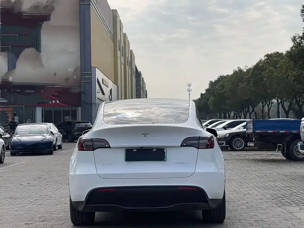 Tesla Model Y 2023 из CN, фото 3