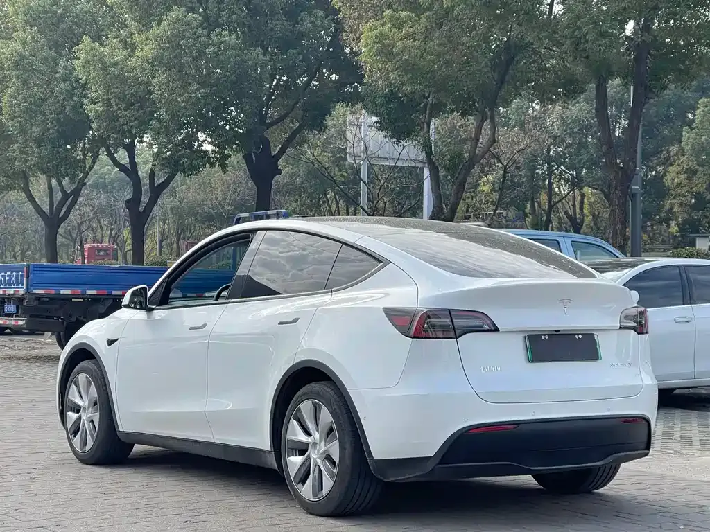 Tesla Model Y 2023 из CN, фото 4