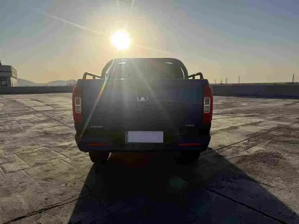 Great Wall Pao 2022 из CN, фото 4