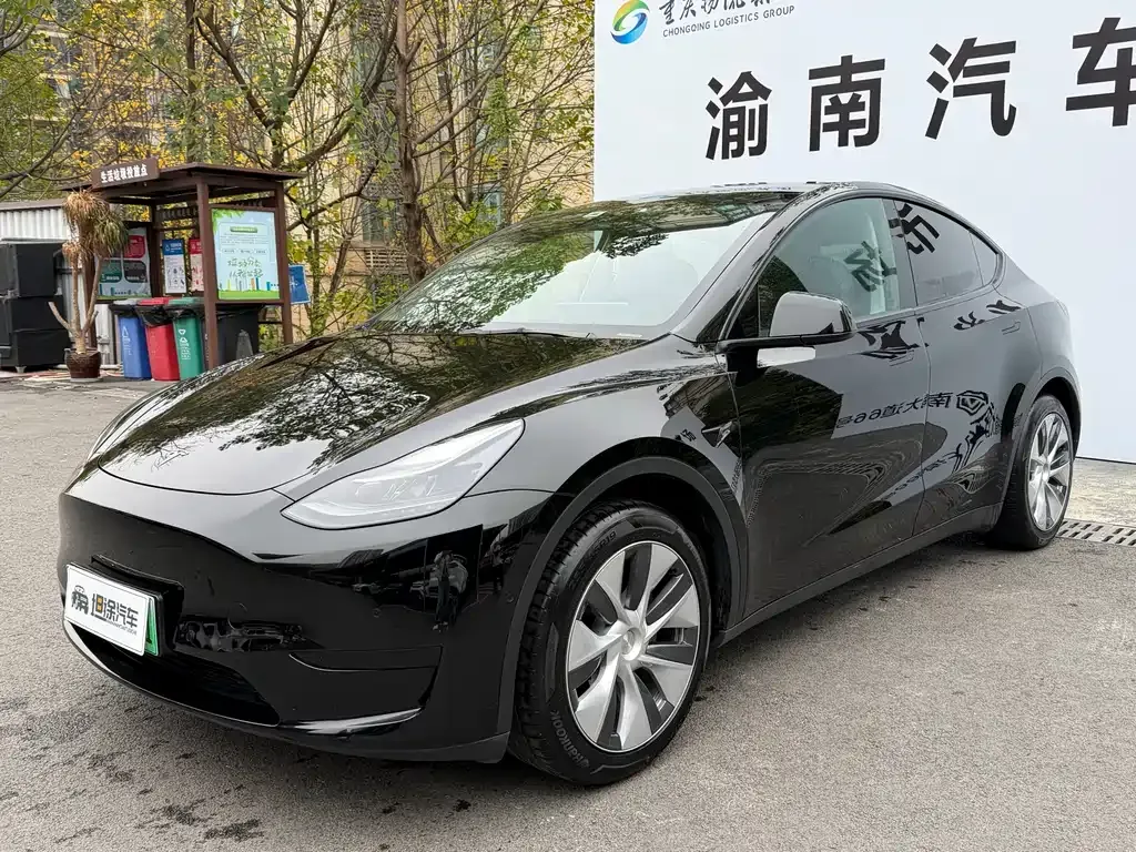 Tesla Model Y 2022 из CN, фото 1