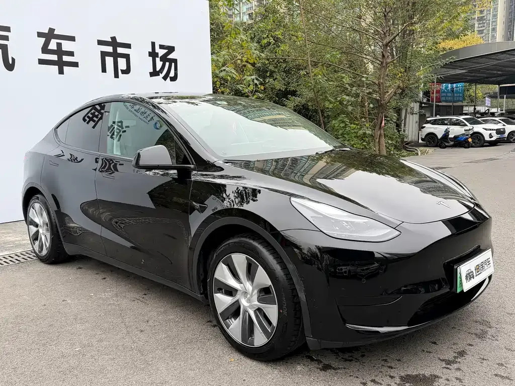 Tesla Model Y 2022 из CN, фото 3
