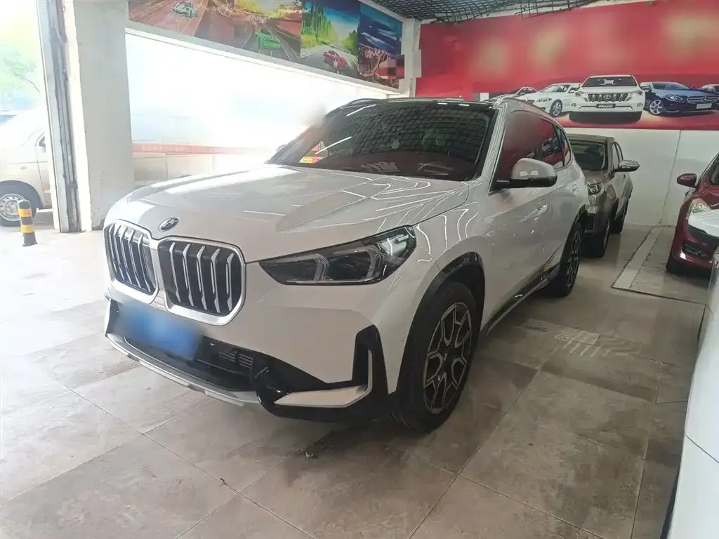 BMW X1 — фото 1
