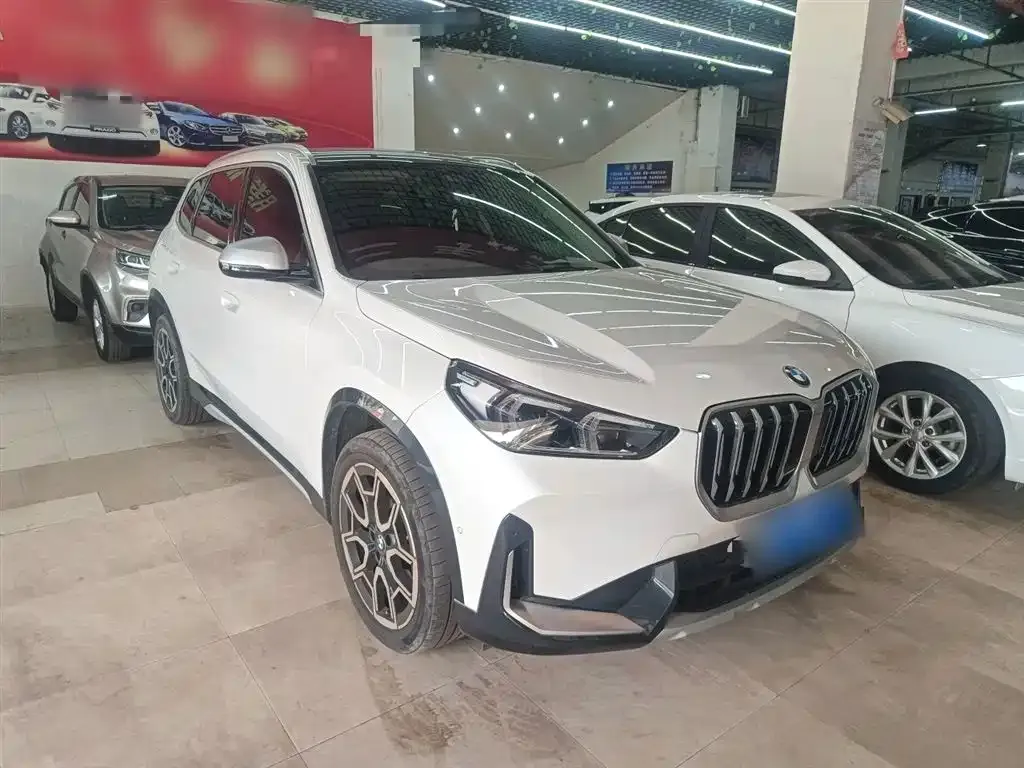 BMW X1 — фото 10