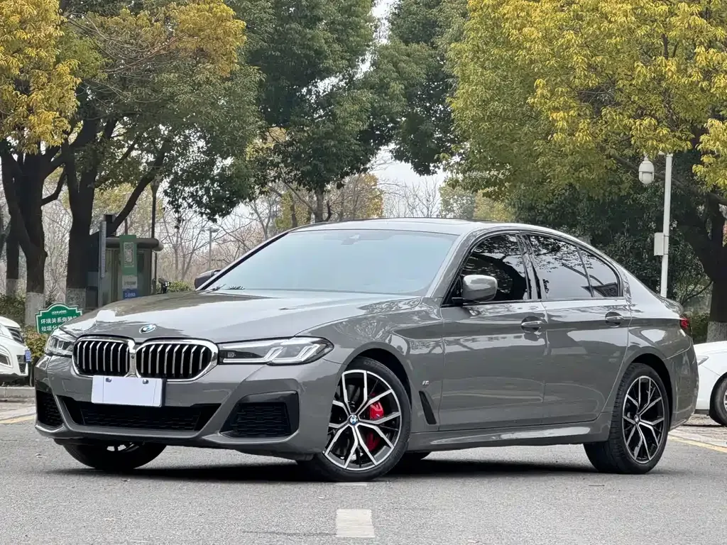 BMW 5 Series (Import) — фото 1
