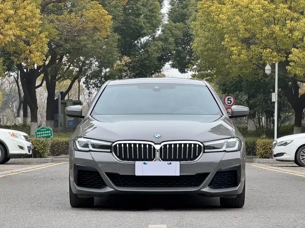 BMW 5 Series (Import) — фото 10