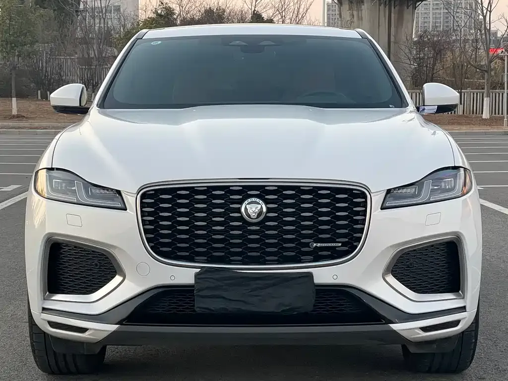 Jaguar F-PACE — фото 10