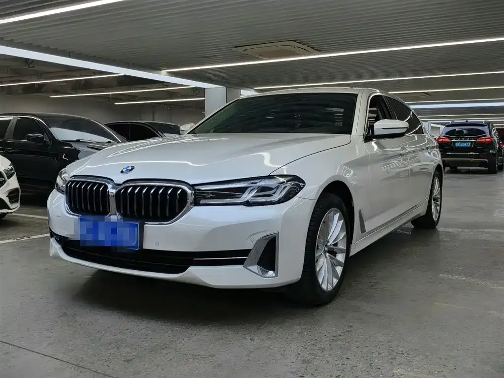 BMW 5 Series 2022 из CN, фото 1
