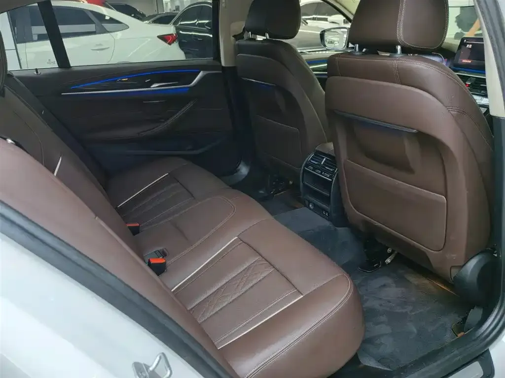 BMW 5 Series 2022 из CN, фото 7