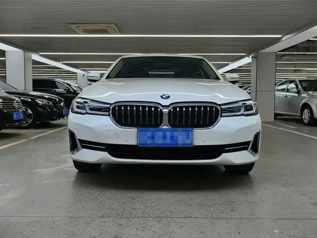 BMW 5 Series 2022 из CN, фото 9