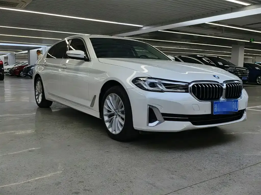 BMW 5 Series 2022 из CN, фото 10