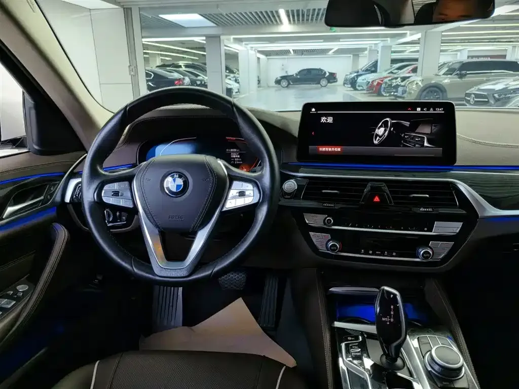 BMW 5 Series 2022 из CN, фото 3