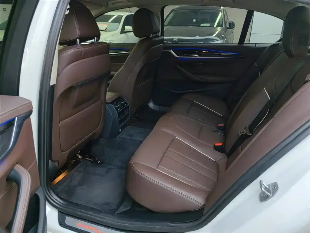 BMW 5 Series 2022 из CN, фото 8