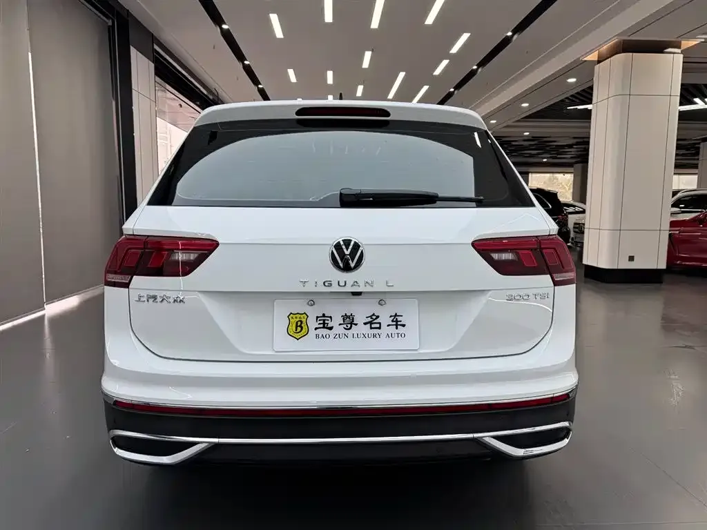 Volkswagen Tiguan L 2024 из CN, фото 2
