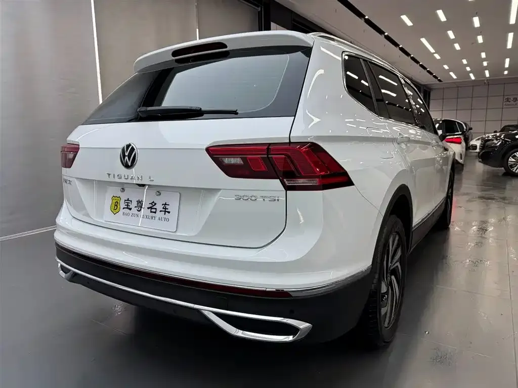 Volkswagen Tiguan L 2024 из CN, фото 3