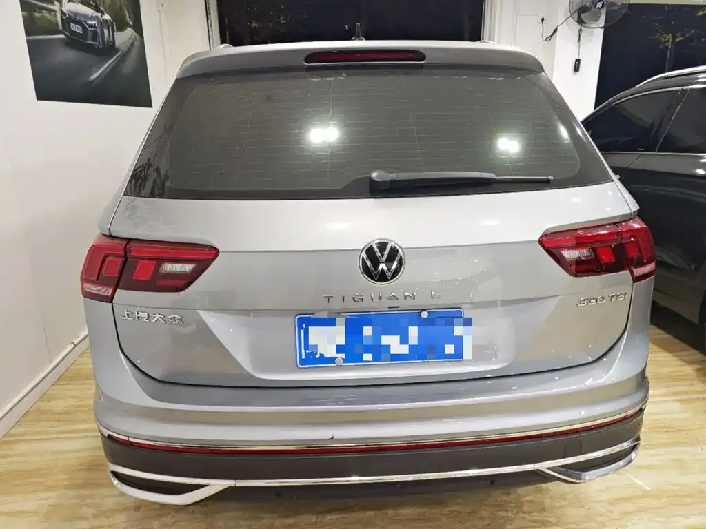 Volkswagen Tiguan L 2023 из CN, фото 9