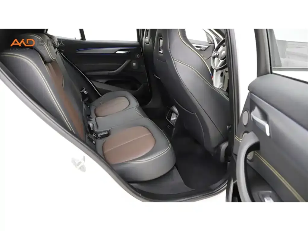 BMW X2 2023 из CN, фото 9