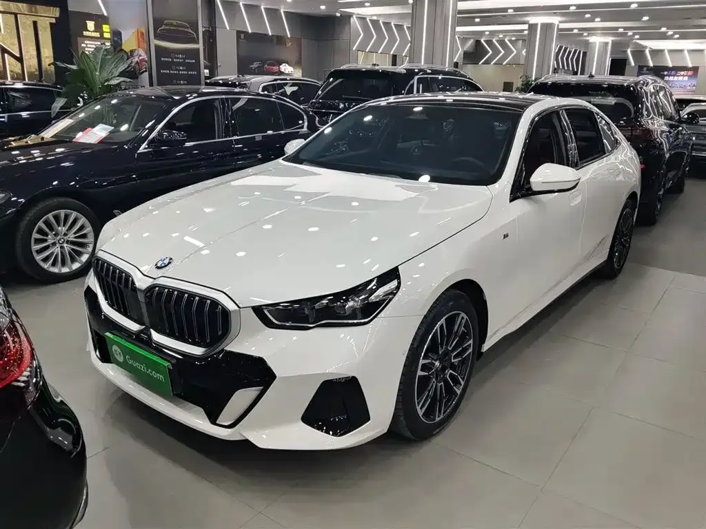 BMW 5 Series 2024 из CN, фото 1