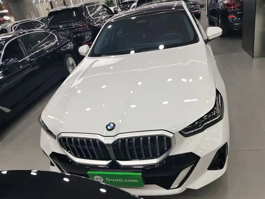 BMW 5 Series 2024 из CN, фото 10