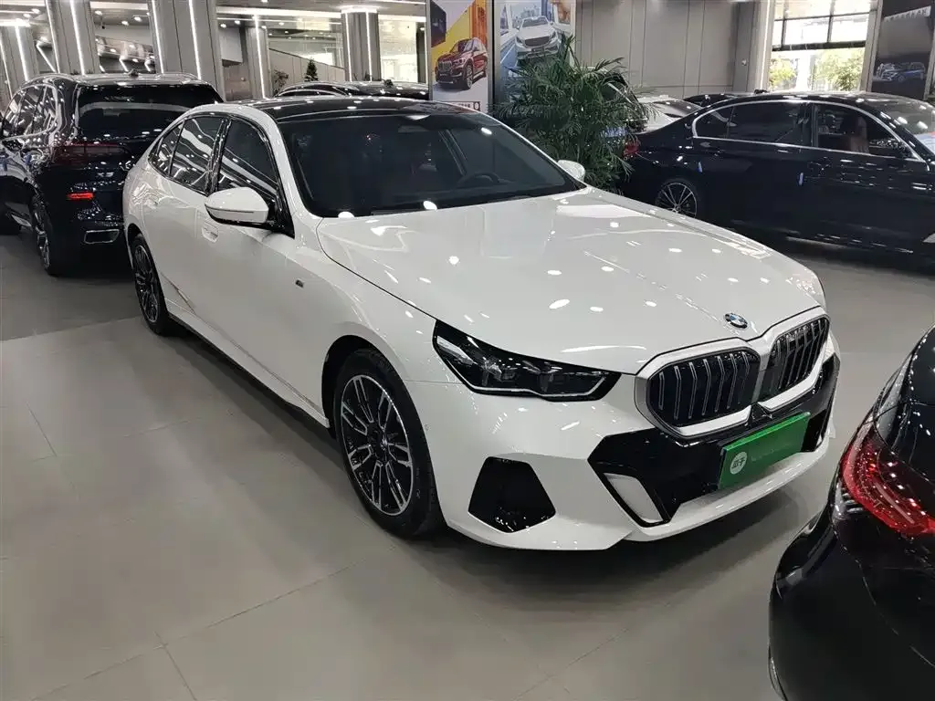 BMW 5 Series 2024 из CN, фото 5