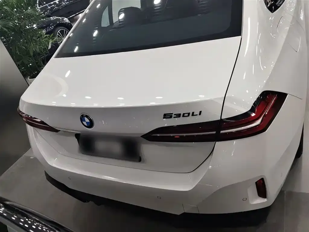 BMW 5 Series 2024 из CN, фото 3