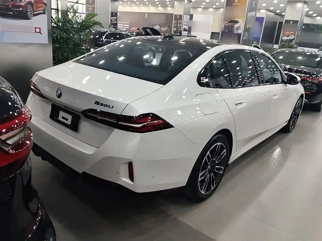 BMW 5 Series 2024 из CN, фото 6
