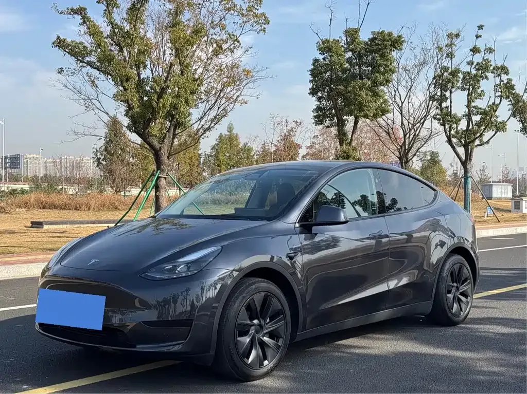 Tesla Model Y 2024 из CN, фото 1