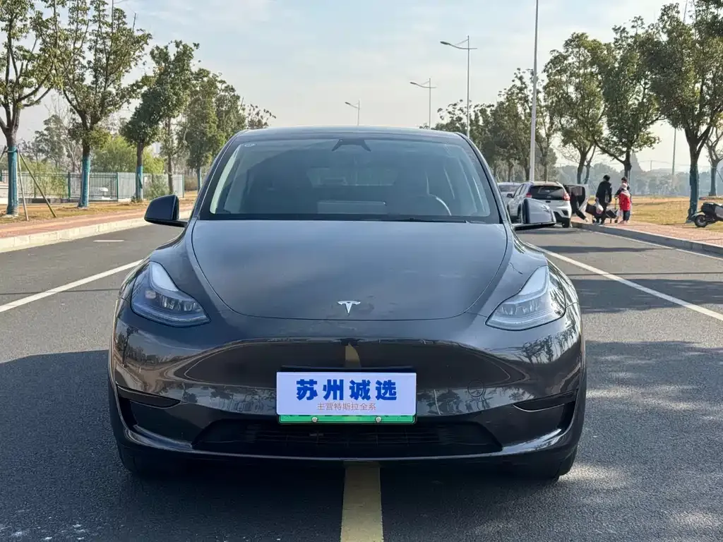 Tesla Model Y 2024 из CN, фото 7