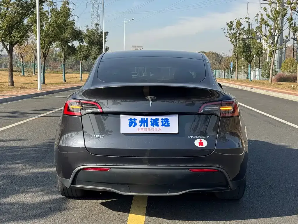 Tesla Model Y 2024 из CN, фото 9
