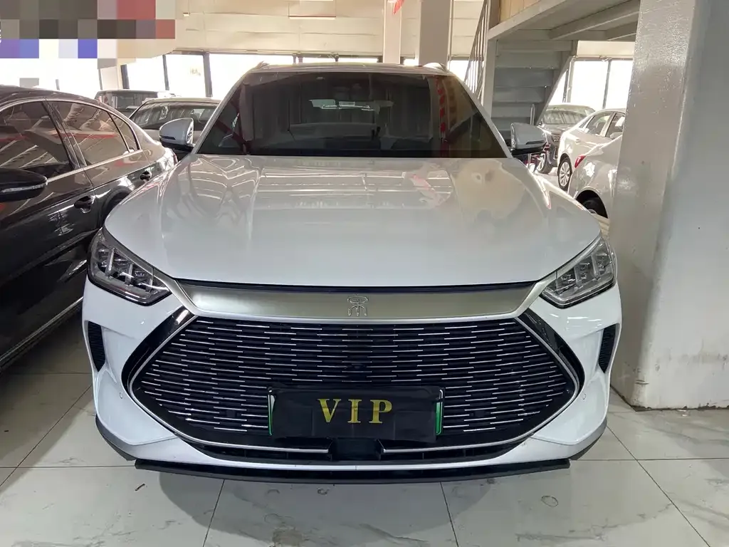 BYD PLUS New Energy 2023 из CN, фото 10