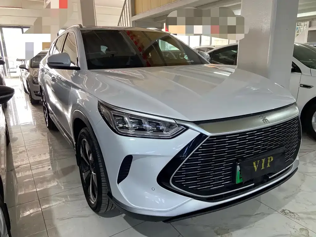 BYD PLUS New Energy 2023 из CN, фото 3