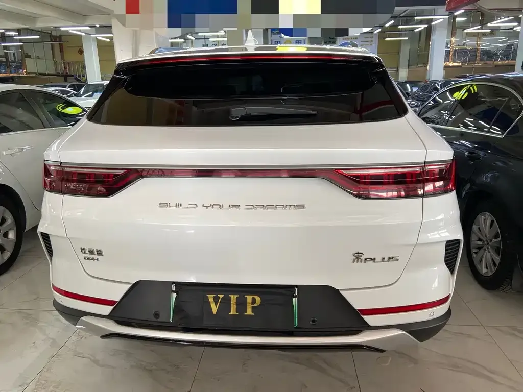 BYD PLUS New Energy 2023 из CN, фото 4