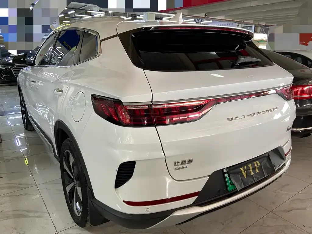 BYD PLUS New Energy 2023 из CN, фото 2