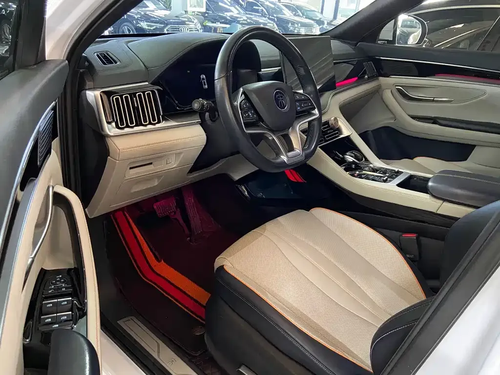 BYD PLUS New Energy 2023 из CN, фото 6